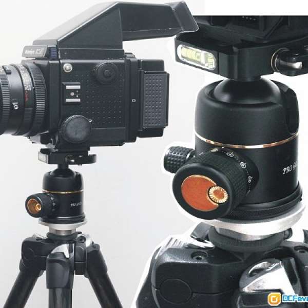 Photo Clam Pro Gold II Easy QR Ball Head 鍍金專業版波頭，夠力好用，韓國制造 (A...