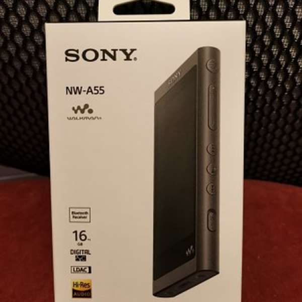 Sony NW-A55 Walkman 數碼音樂播放器 全新