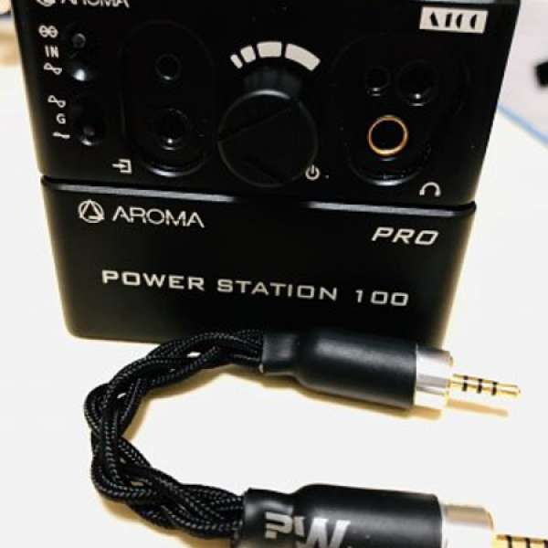 Aroma Audio A100 + Ps100 pro + PW Audio 1960s 2.5 to 2.5