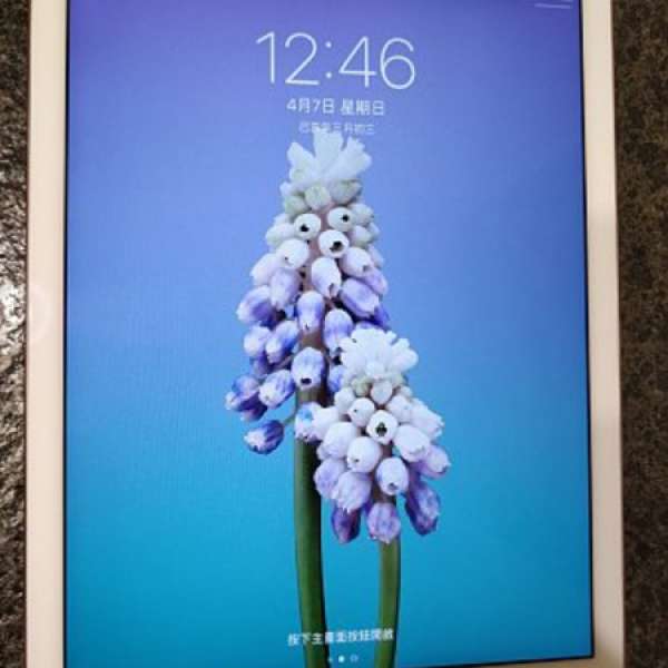 Apple iPad Pro 9.7 Wi-Fi 32GB(玫瑰金色)