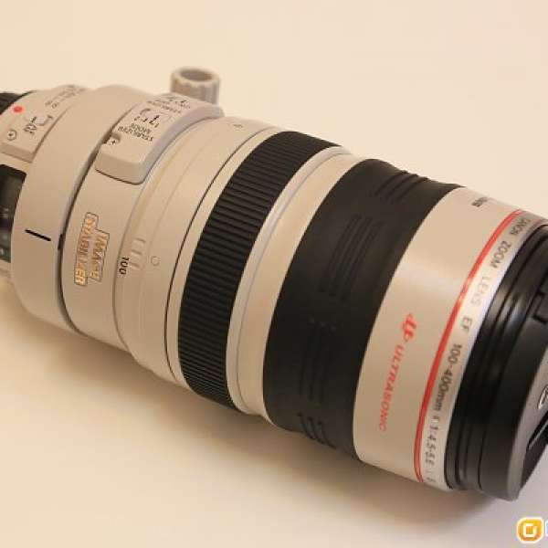 Canon 100-400mm 大白一代靚鏡