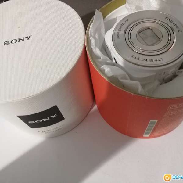 Sony DSC DX10