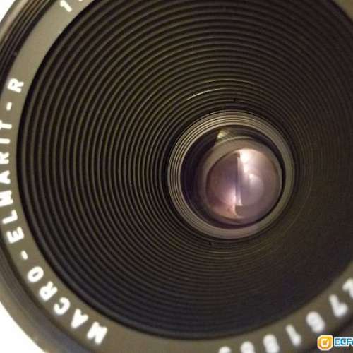 Leica R60/2.8 Macro - 二手或全新手動對焦鏡頭, 攝影產品 - DCFever.com