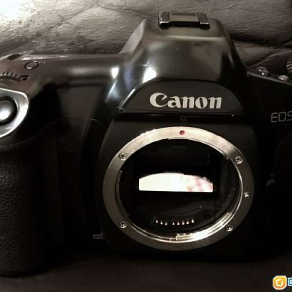 Canon EOS-1菲林机皇  90%新