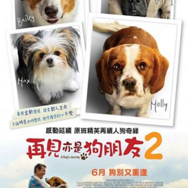 電影《再見亦是狗朋友2》換票証（1張$50 不議價）- 最後1張