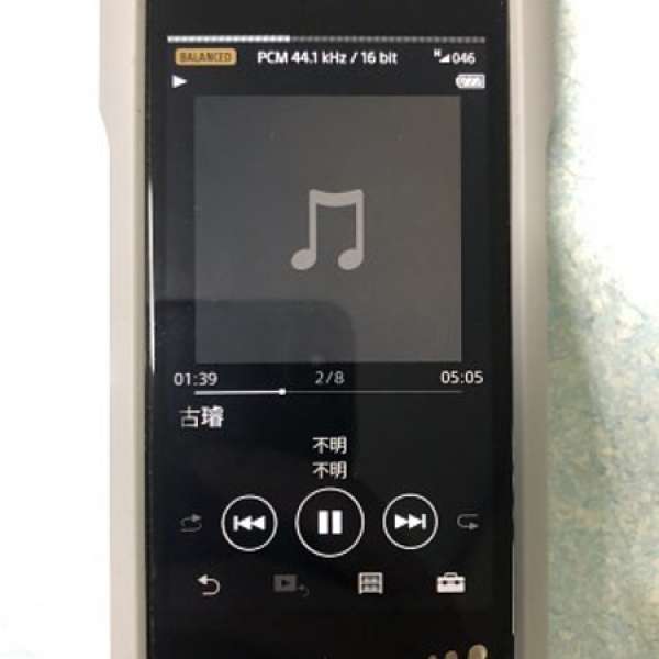 Sony wm1z