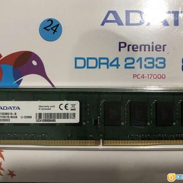 ADATA 8g Ram(100%work)