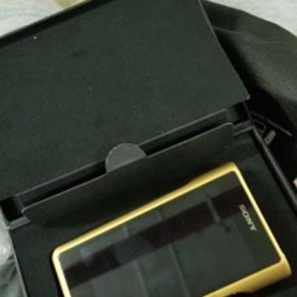 Sony Wm1z 99.9new