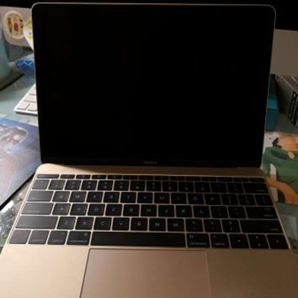 Macbook 12 inch Retina 香檳金 8RAM 500G