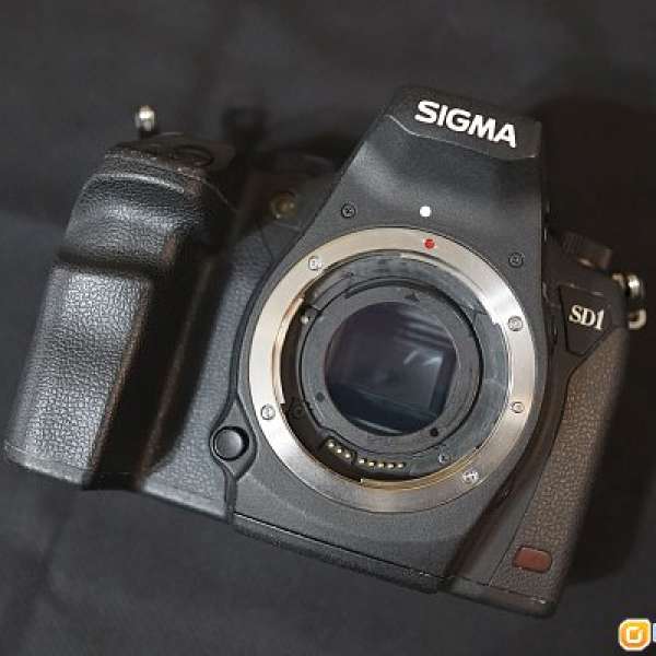 SIGMA SD1 merrill  (已改CANON EF MOUNT) 5D4 5D3 6D 鏡頭可共用