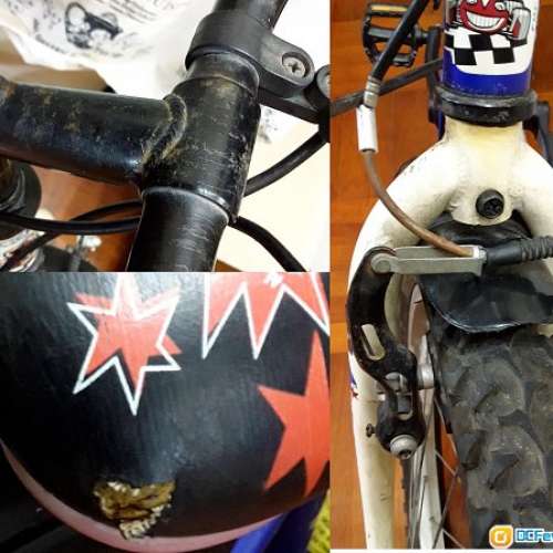 Decathlon  中童單車  20吋 合粗用