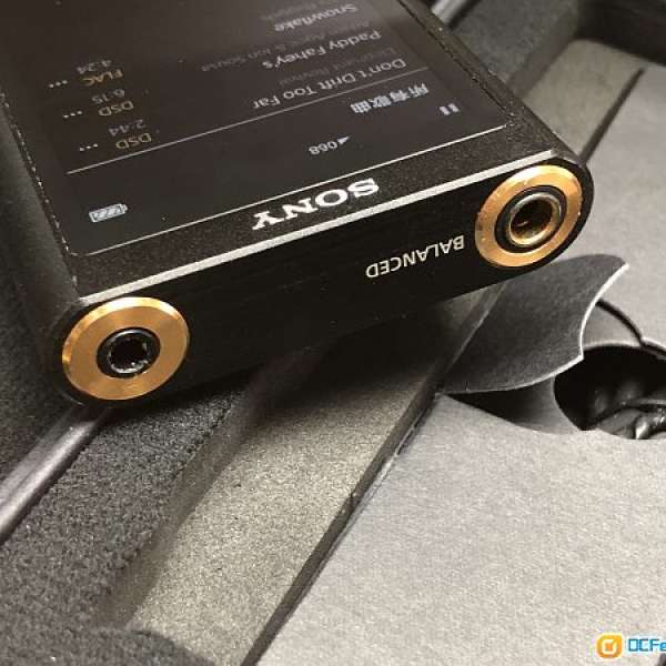 Sony Zx300