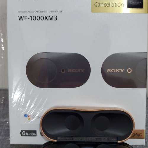 Sony WF-1000DM3