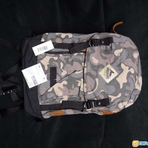 Gregory Stinson Daypack 23L 舊LOGO