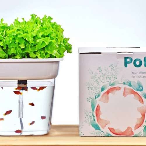 全新 Potti 系統 - 輕巧版魚菜共生系統
