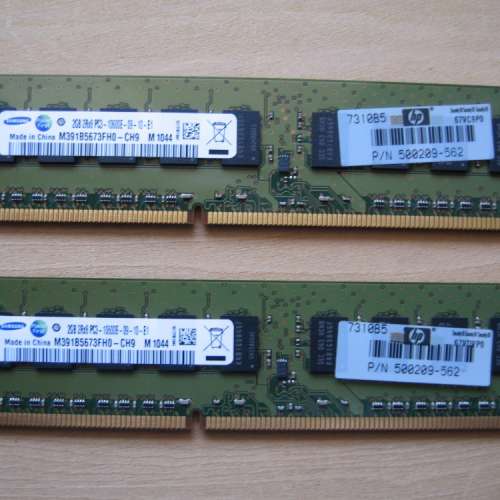 Samsung 2GB DDR3 1333 desktop ECC RAM 一對