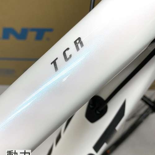 最新獨角獸白 GIANT TCR Advanced 2 KOM [Shimano 105 R7000 22速 單車公路車 bike]