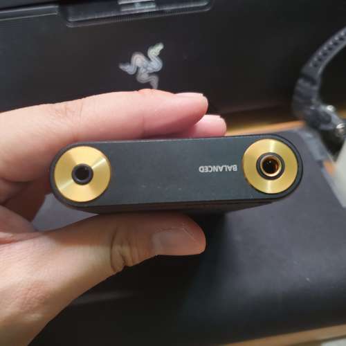 Sony NW-WM1a 黑磚連皮套