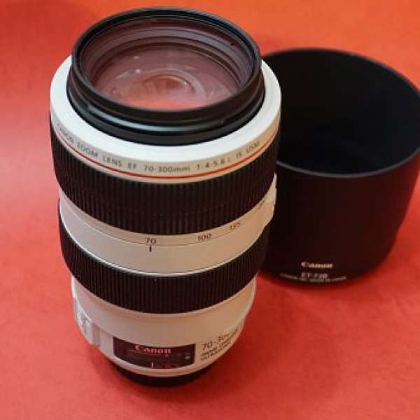 Canon EF70-300 f/4-5.6L (EF 70-300 f/4-5.6L IS USM)