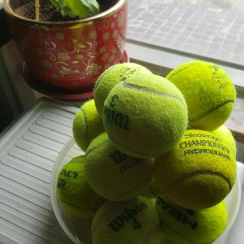 網球 Tennis ball10 個