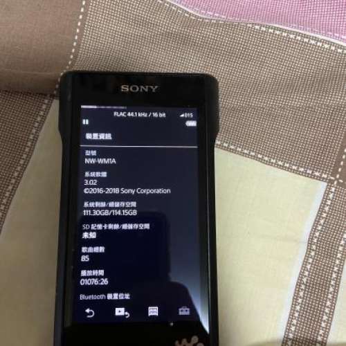 黑磚sony wm1a