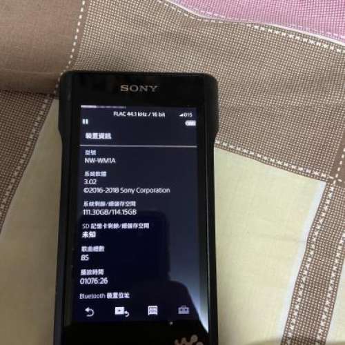 黑磚sony wm1a