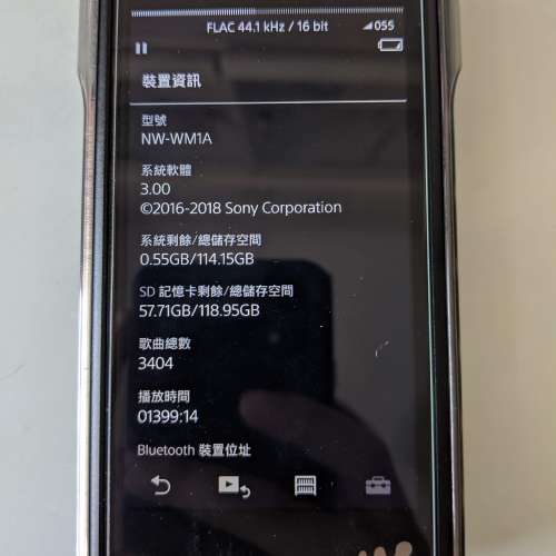 放 Sony NW-WM1A 黑磚 播放器