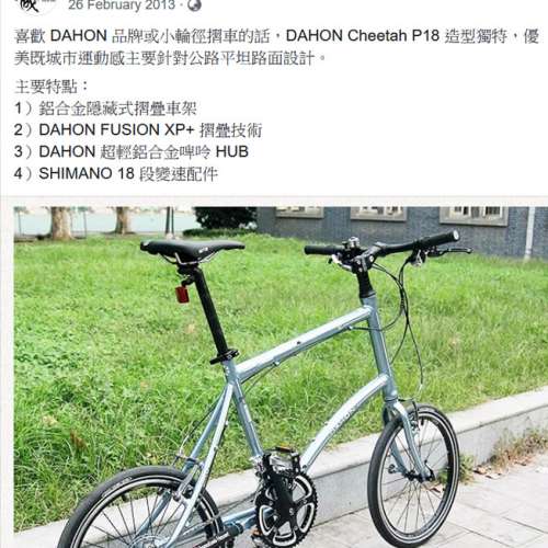 絶版新淨DAHON Cheetah P18 摺合小徑輪單車 20吋