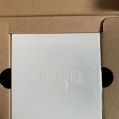 apple watch series 5 stainless steel 鋼款 LTE