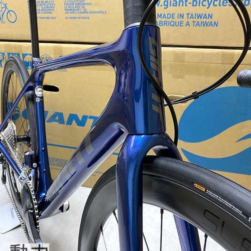 [實體店交收] GIANT TCR Advanced Pro 0 Disc - KOM (Shimano Di2 電件 碳軨 bike)