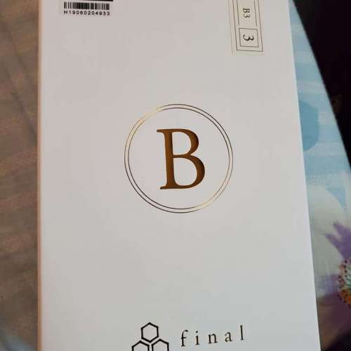 Final B3 99成新
