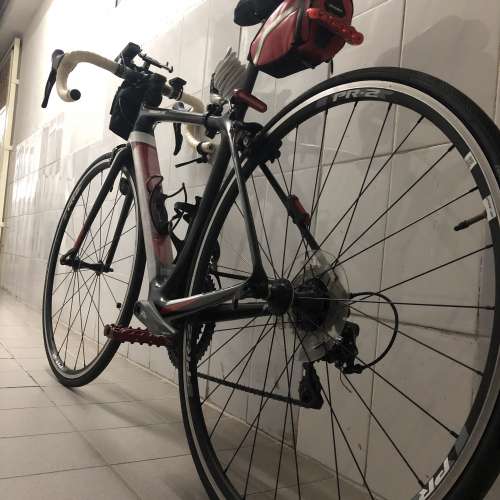 GIANT TCR ADVANCED 2 2019