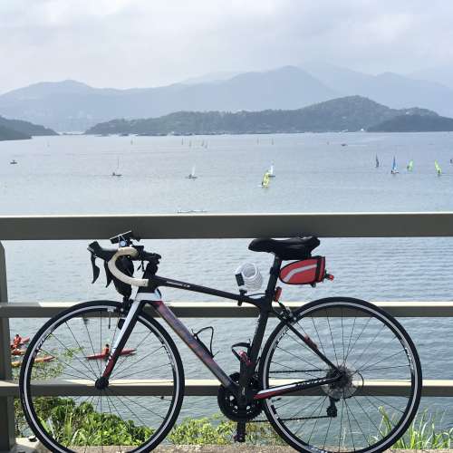 GIANT TCR ADVANCED 2 2019