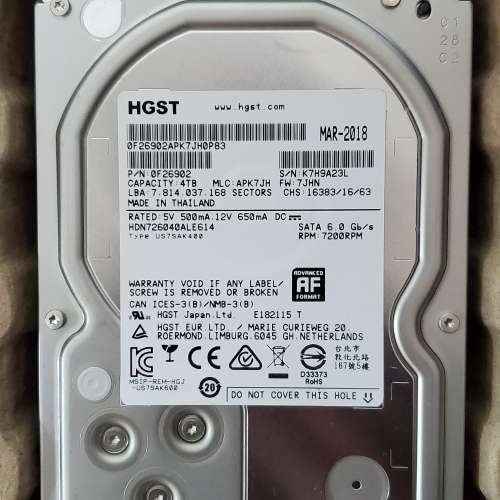 HGST 4TB NAS Hard Drive 硬盤