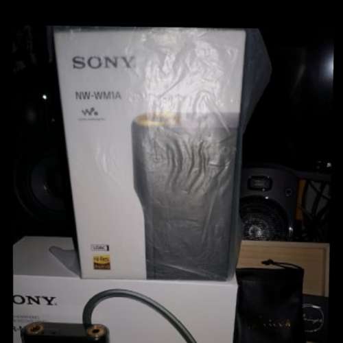 Sony Wm1a