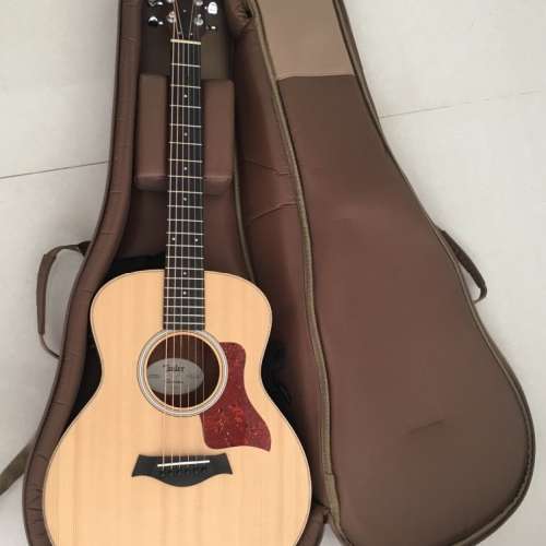 Taylor GS mini GSmini