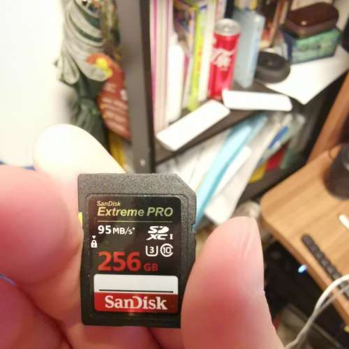 SanDisk extreme pro 256gb 95mb快卡 無盒無保