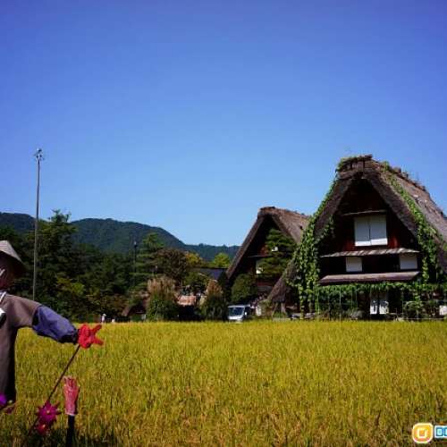 Minolta W.Rokkor-QH 21mm f4 真正超廣角鏡王 (收藏級) 啱萬能達菲林机 及 A7 系列