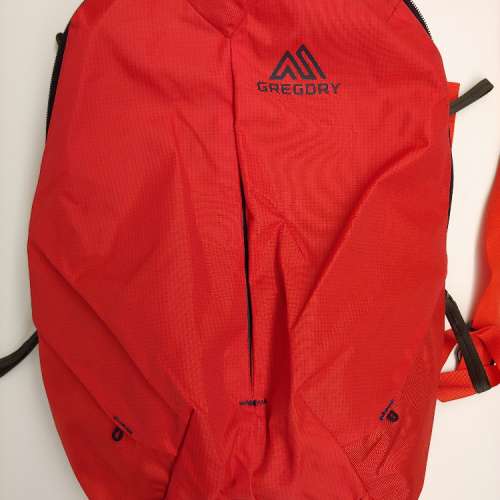 1個 紅色 22L Gregory Sketch 22 backpack 背包 背囊