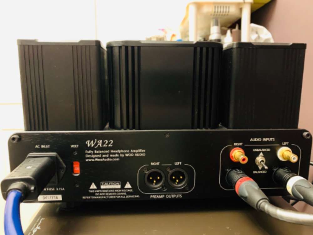 Woo Audio WA22 Fully Balanced Tube Amp 