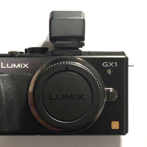 panasonic Lumix GX1 and DMW-LVF2