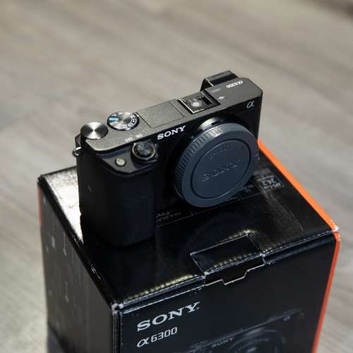 Sony a6300 無反相機