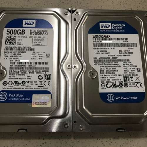 WD Blue 3.5" SATA 500GB HD 兩隻