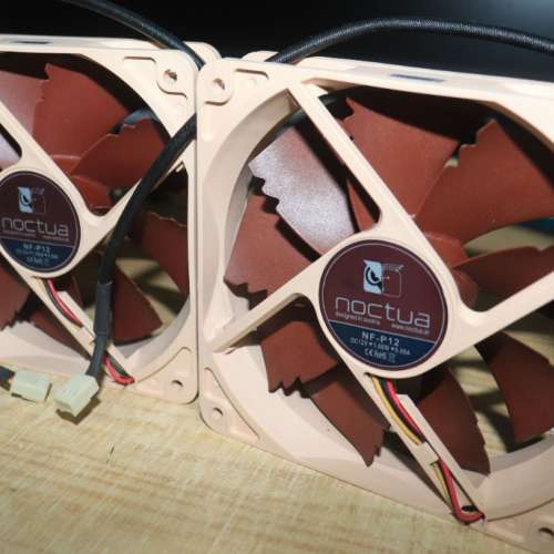 貓頭鷹 noctua P12 2隻 12CM風扇