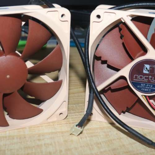 貓頭鷹 noctua P12 2隻 12CM風扇