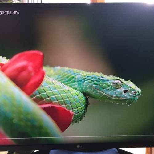 LG 32UD59-B 32" 4K Monitor