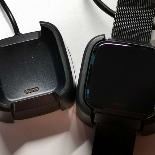 Fitbit Versa 1st Gen 原廠鋼帶