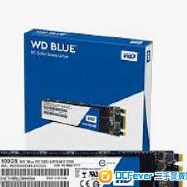 Western Digital M.2 WD Blue 3D NAND SATA SSD 1TB - WDS100T2B0B