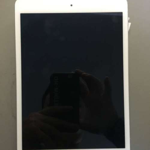 Apple iPad mini 2 16G LTE 4G版
