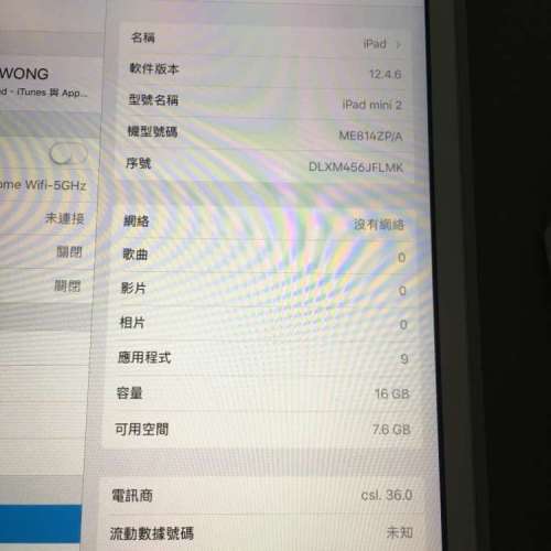 Apple iPad mini 2 16G LTE 4G版